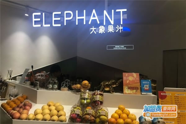 elephant store֭˷ѡ